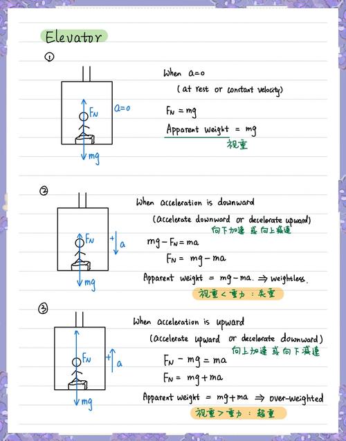 高中物理超重和失重