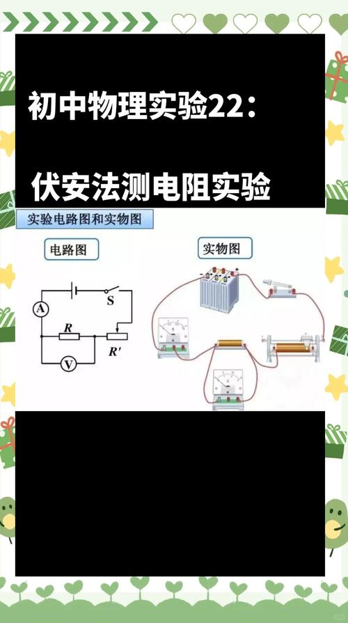 高中物理電池測量電路圖