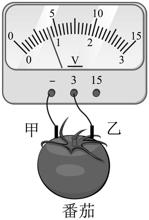 高中物理電池測量方法總結