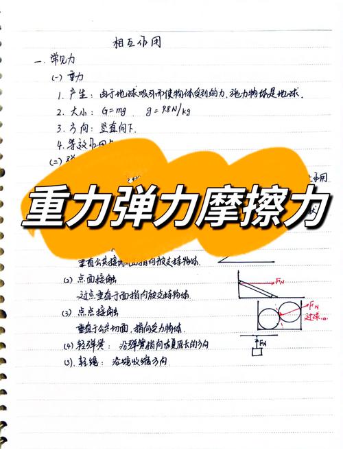 初中物理彈力演練