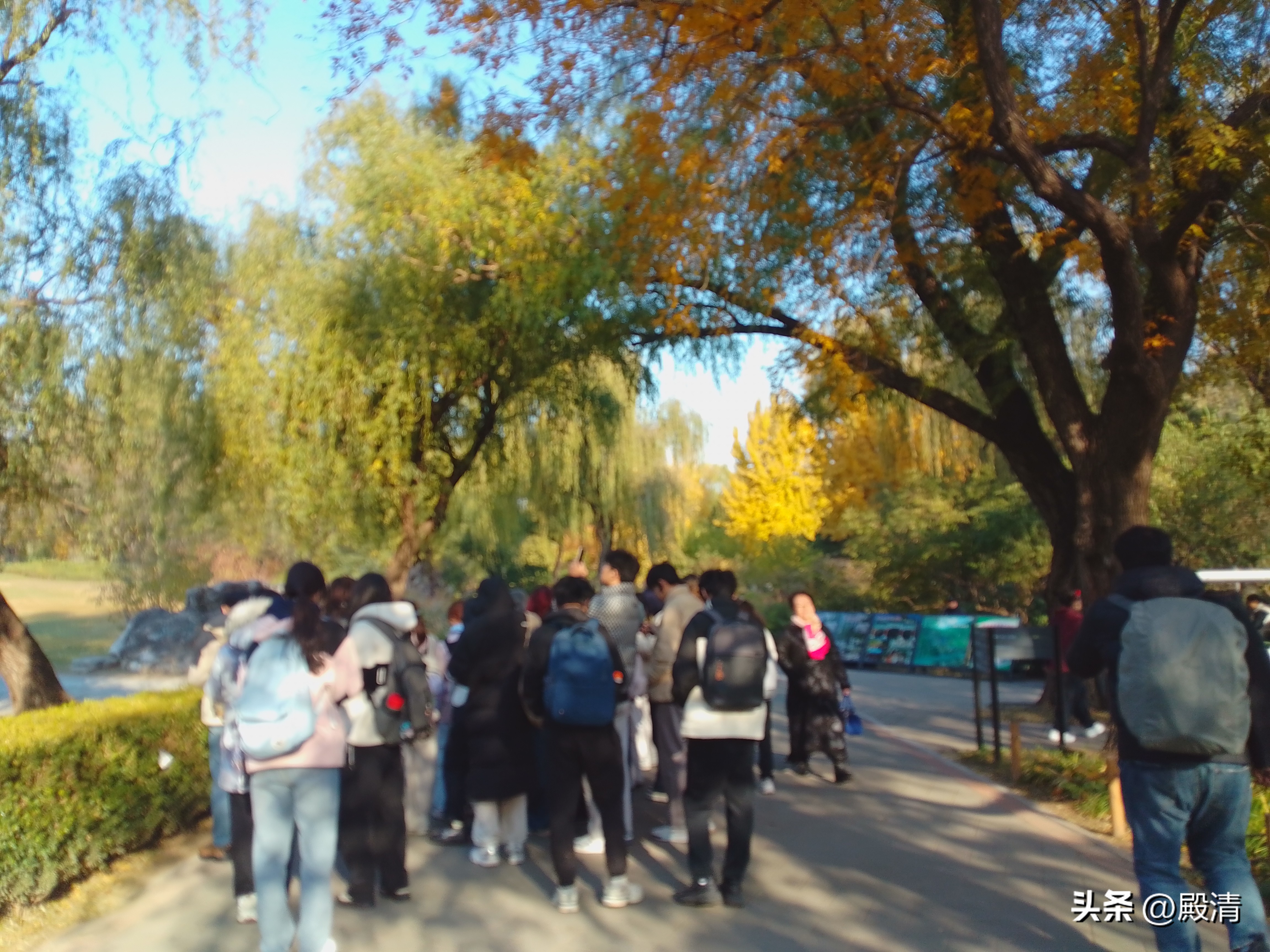 高中物理公式圖表