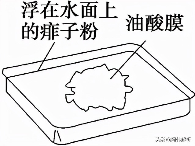 高中物理電池偏轉問題