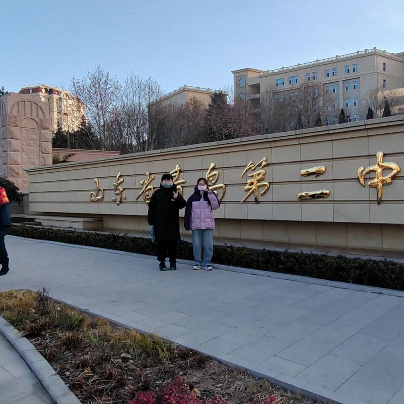 全國高中物理競賽2017