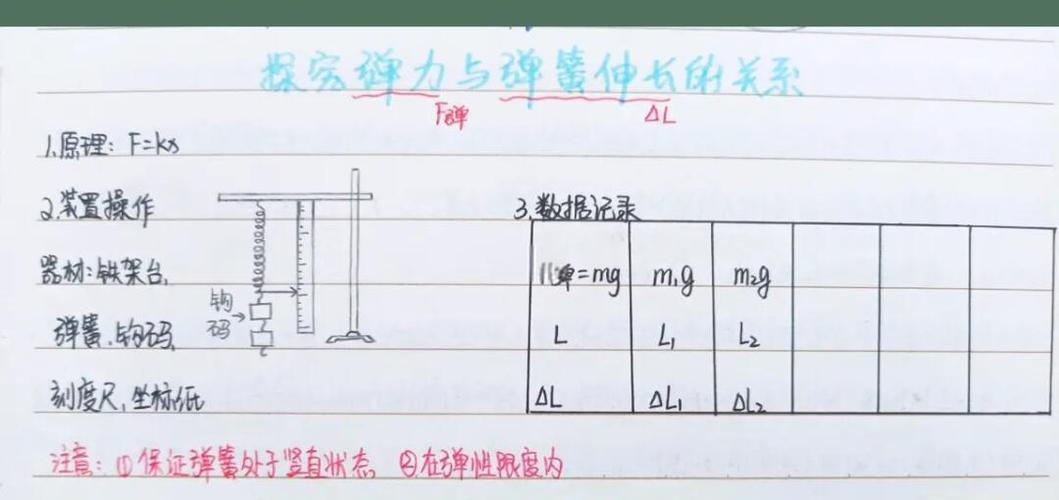 初中物理彈力公式