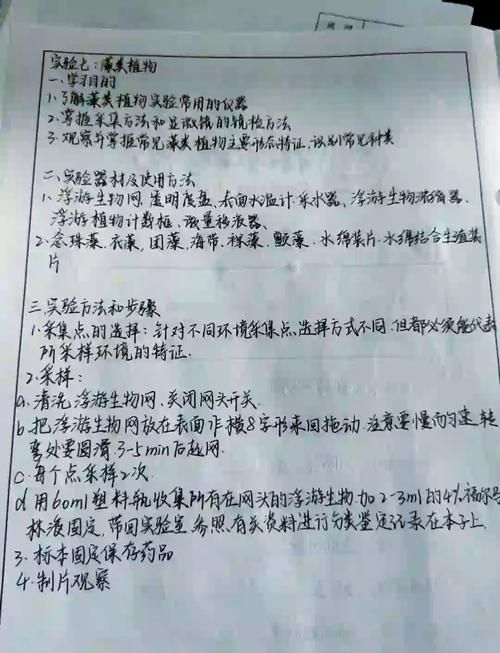 物理小論文初中