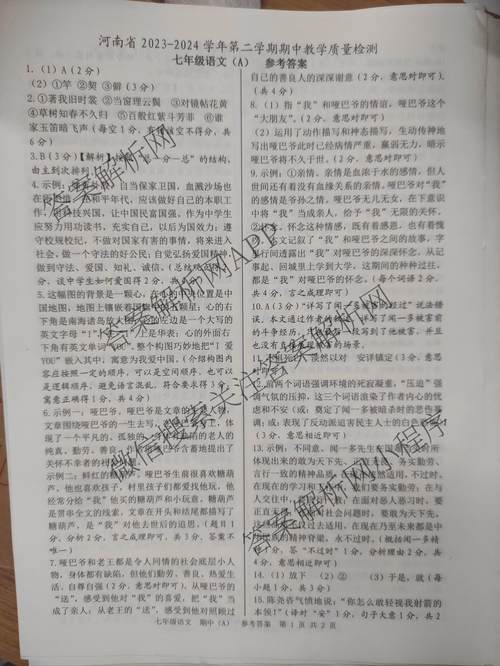 安陸市實驗初中物理