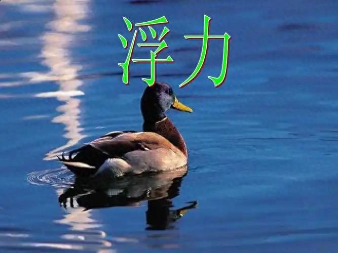 初中物理人教版課本