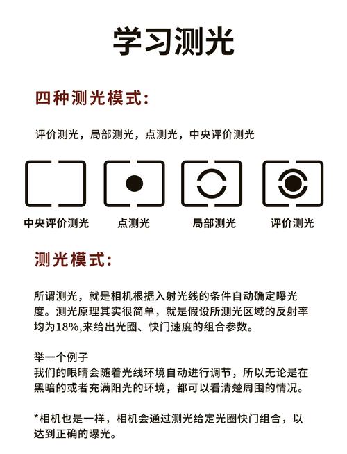 日食光線初中物理